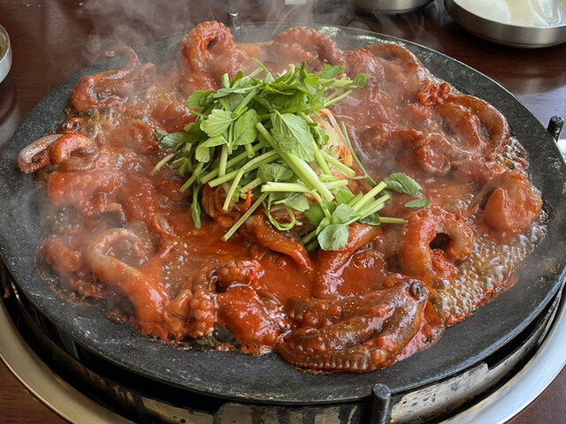 User's recommendation image for チュクミドサ 新宿本店