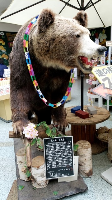用户对于食堂 山びこ的评论高清图