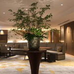 用户对于MAYFAIR的评论图