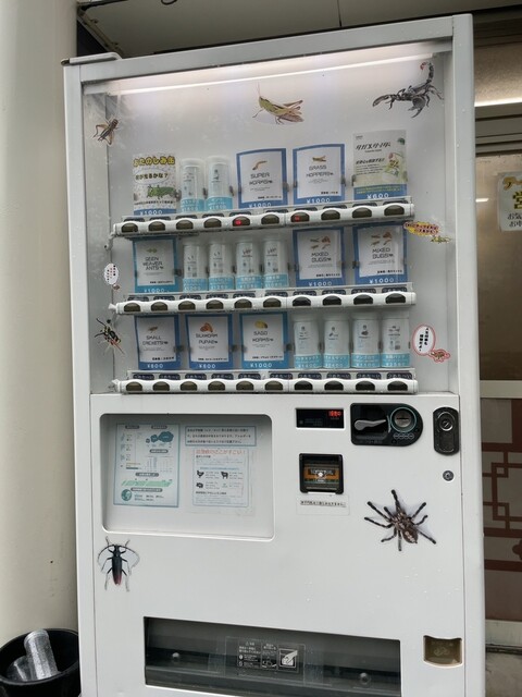 用户对于鶏西大冷麺的评论高清图