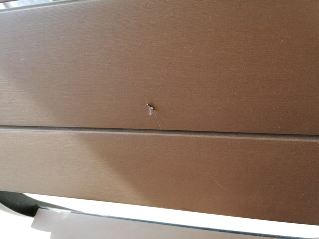 用戶對於シャ・ノワール 久宝寺店的評論高清圖