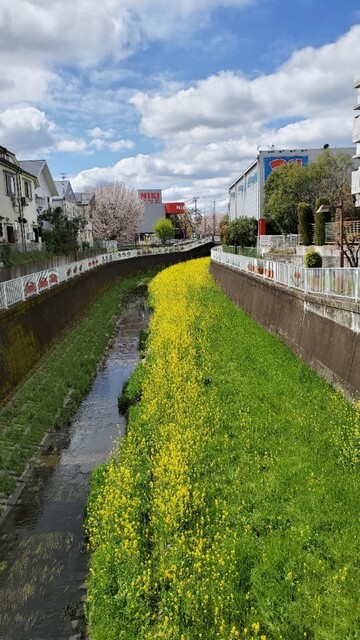 用戶對於焼肉釜山的評論高清圖