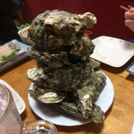 用户对于サロマ湖とばろう村的评论图