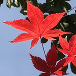 User's review image for みかえり茶屋