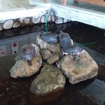 User's review image for あわび山荘