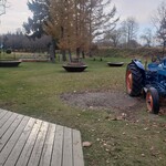 用户对于麦音的评论图