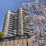 User's review image for エルズ キッチン