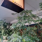 User's review image for Année