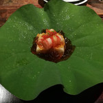 用户对于夕月的评论图