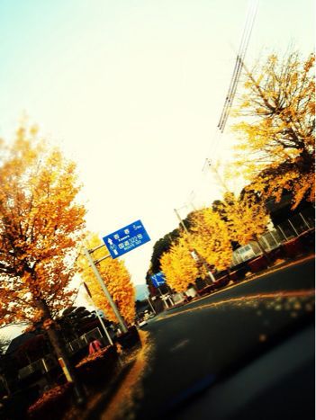 用戶對於バードコーヒー的評論圖