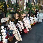 用戶對於寿し処 川的評論圖