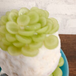 User's review image for CAFE BAR AO