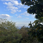 用户对于鶏西大冷麺的评论图