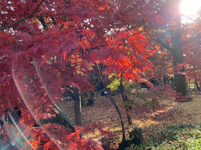 User's recommendation image for みかえり茶屋