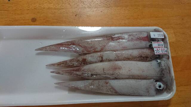 用戶對於まるとみ 渡辺水産 直販店的評論高清圖