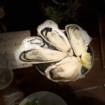 用户对于牡蠣と魚介のワイン酒場 FISHMANS SAPPORO的评论图