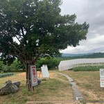 用户对于村田果樹園的评论图