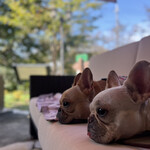 User's review image for リバーサイドカフェ グリーンテラス