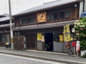 用户对于アイリー ノボリタイ的评论图