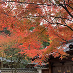 User's review image for 山見茶屋