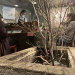 用戶對於茶の葉 松屋銀座店的評論圖