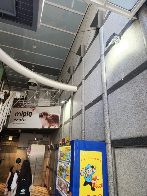 用戶對於マイピッグカフェ 大阪店的評論高清圖