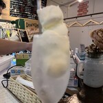 用戶對於ダイニングバルmamaごはん的評論圖