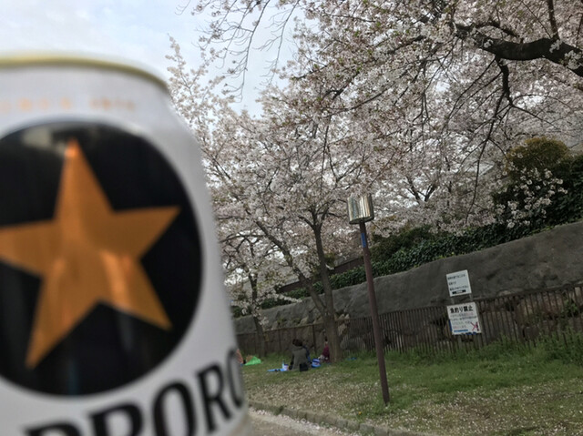 用户对于パークローソン 大阪城公園店的评论高清图