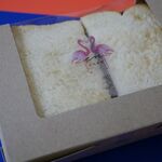 用户对于京花果茶 圓的评论图