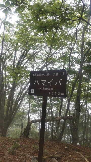 User's recommendation image for すき家 府中浅間店