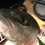 用户对于魚と旬菜と日本酒　炙りのどまん中的评论图