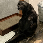 User's review image for SAVON'S BAKE FACTORY TAMAYURAN