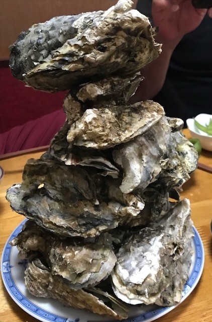 用户对于サロマ湖とばろう村的评论图