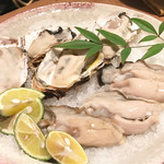 用户对于八幡町 ののか的评论图