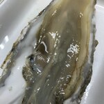 用戶對於池田商店的評論圖