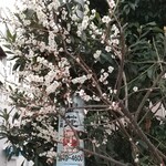 用戶對於そば切り やぶ的評論圖