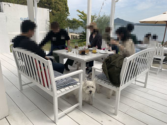 User's review image for BeachHouseStyleCafe sunflower