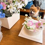 User's review image for MARRON PAPIER of seoul