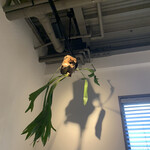 User's review image for ヤングツリーズコーヒー