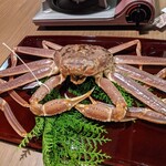 用戶對於夕日ヶ浦温泉 佳松苑はなれ櫂的評論圖