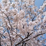 用戶對於カフェ・ミュゼ的評論圖