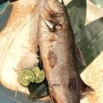 User's review image for 浜ふじ