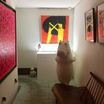 User's review image for 世沙弥