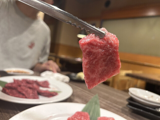 用户对于焼肉・しゃぶしゃぶ 肉の鶴々亭的评论高清图