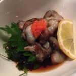 用户对于月夜のたぬき的评论图