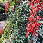 User's review image for 波ぎ茶寮