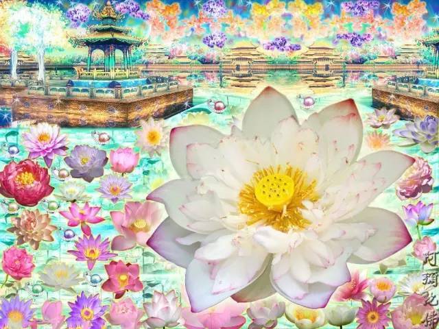 User's review image for マルエイ 西葛西店