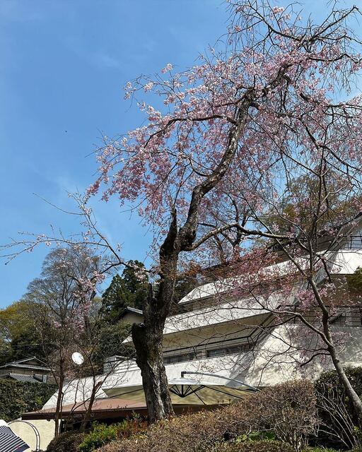 User's recommendation image for リバーサイドカフェ グリーンテラス