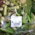 User's review image for 新鮮ひろば かのな