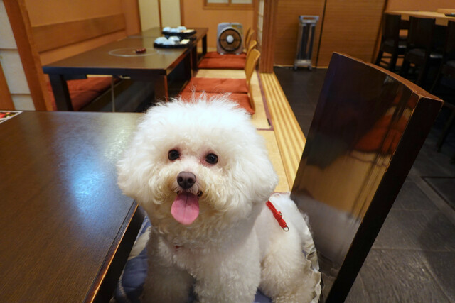 用戶對於白金台すし兆的評論高清圖